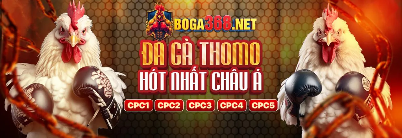 Tổng quan về đá gà trực tuyến tại MMOO88